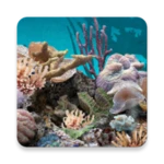 3d aquarium live wallpaper android application logo